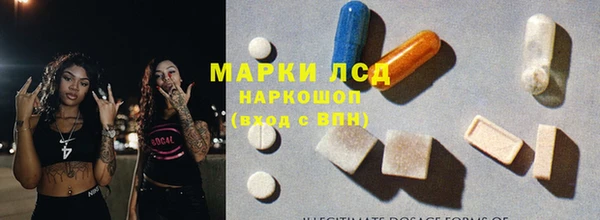 гашик Арсеньев