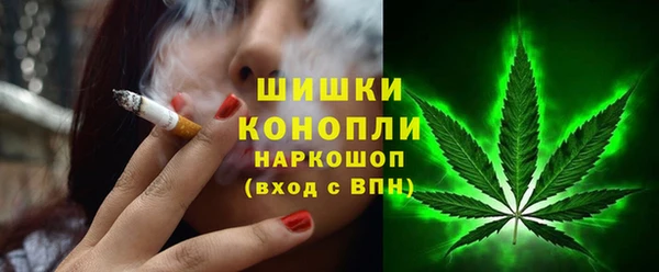ГАЛЛЮЦИНОГЕННЫЕ ГРИБЫ Аркадак