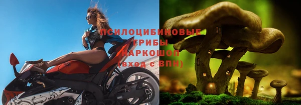 mix Алексин