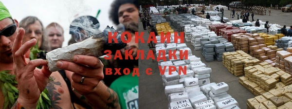 гашик Арсеньев
