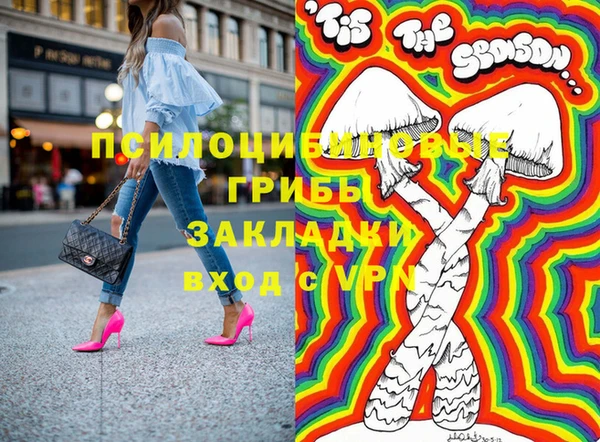 ПСИЛОЦИБИНОВЫЕ ГРИБЫ Армянск