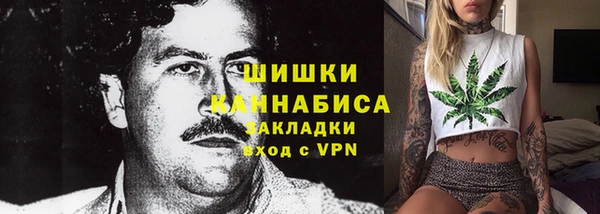 ГАЛЛЮЦИНОГЕННЫЕ ГРИБЫ Аркадак