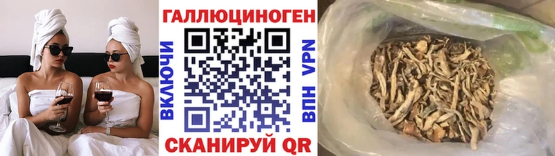 kraken зеркало  Берёзовка  Галлюциногенные грибы мухоморы 